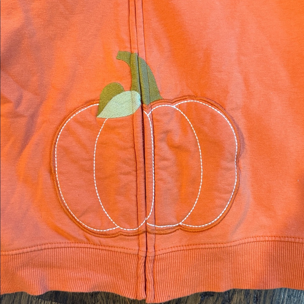 Gymboree Pumpkin Print Hoodie and Leggings - Picture 6 of 7